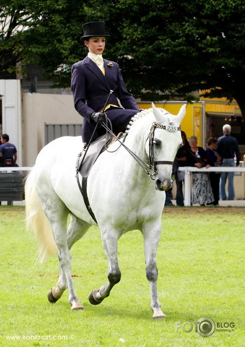 Dublin Horse Show 3dalja