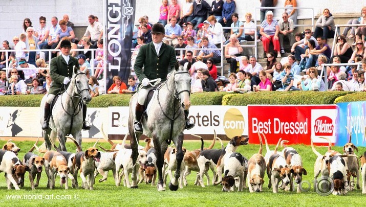 Dublin Horse Show 3dalja