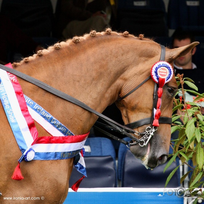 Dublin Horse Show 3dalja