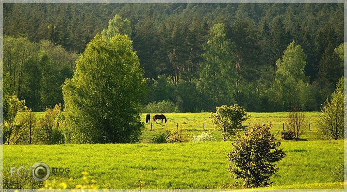 Vakariņas