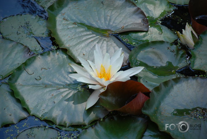 Daugavpi<wbr/>ls-Aglon<wbr/>a-Rēzekn<wbr/>e-Balvi