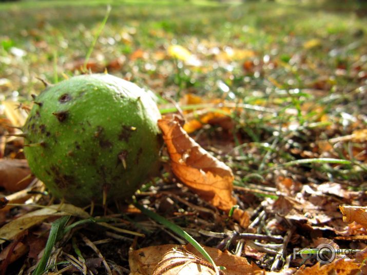 Pastaigājot pa Liepāju