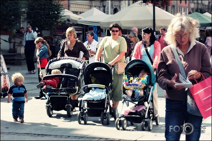 Ziemeļpolijas poļi.