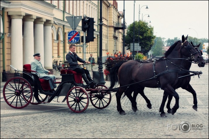 Ziemeļpolijas poļi.