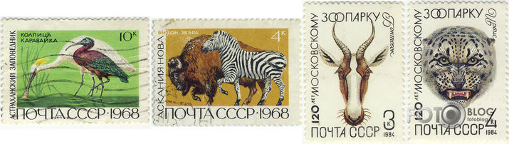 Bērnības hobijs
