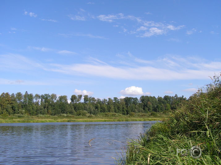 Mākoņgleznas