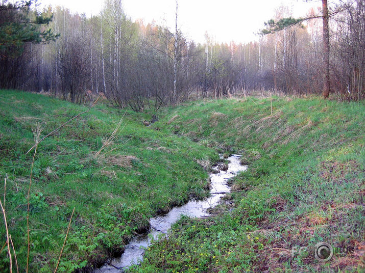 avots>bebri ir klāt> cīņa...