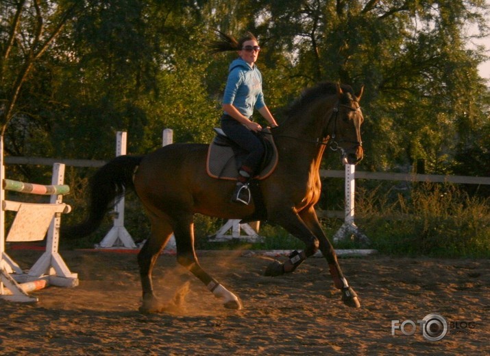 Ikdiena pūkaino degunu aprindās