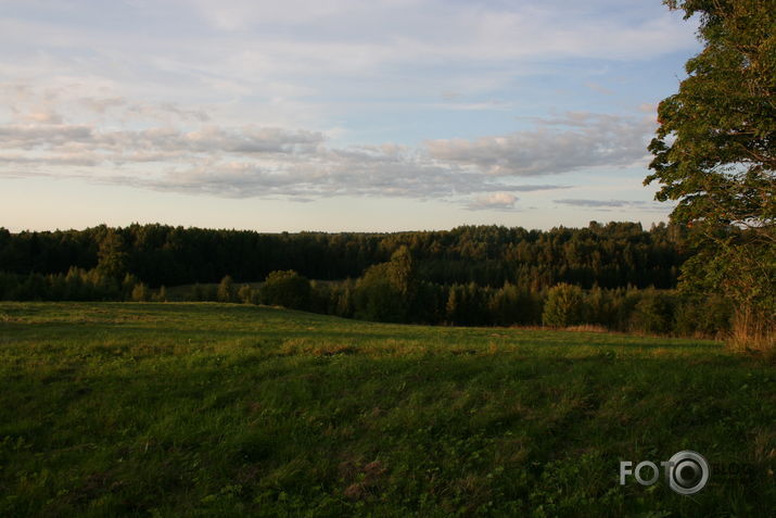 Braku pļavas novakares saulē.