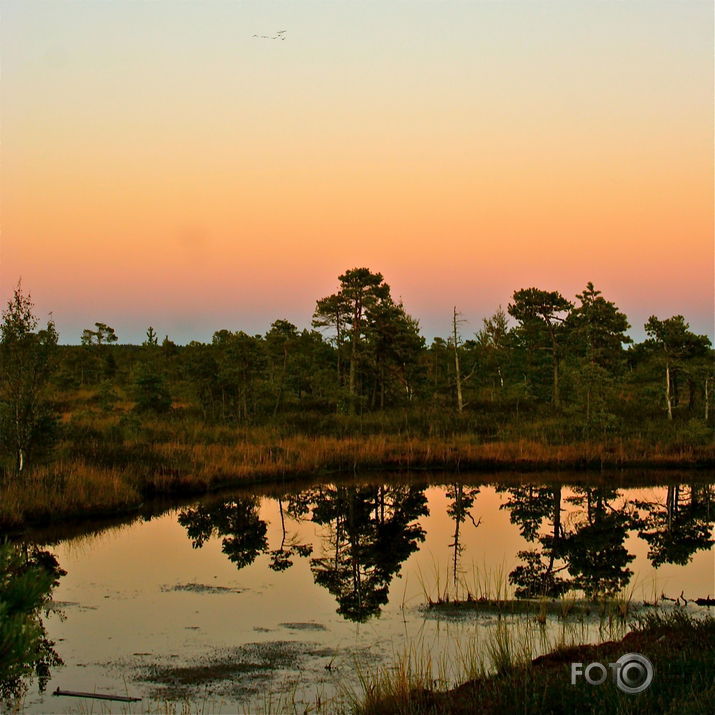Kad pār purvu pārlaižas dzērves un tumsa. 