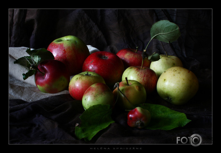 Klusā daba ar āboliem