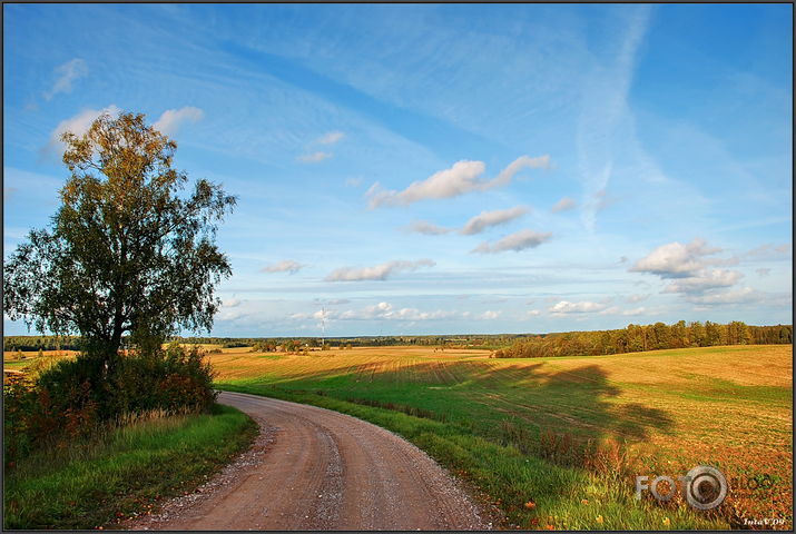 Rudenīgie lauki ar dzērvēm..., 25-09-09