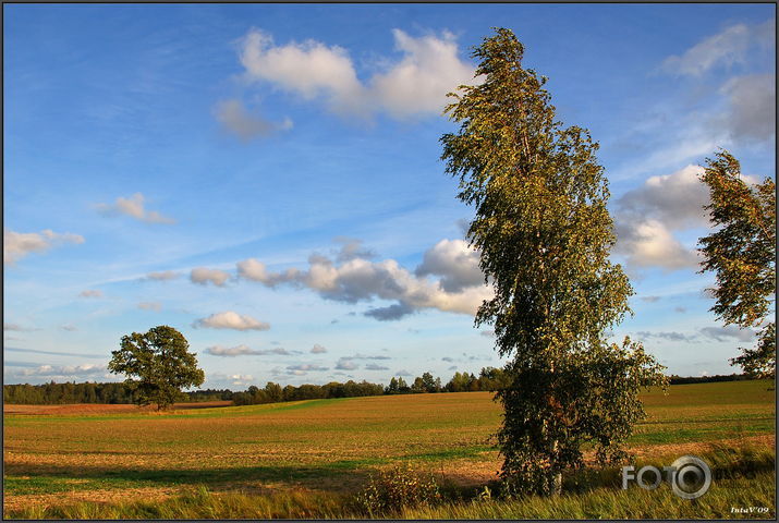 Rudenīgie lauki ar dzērvēm..., 25-09-09