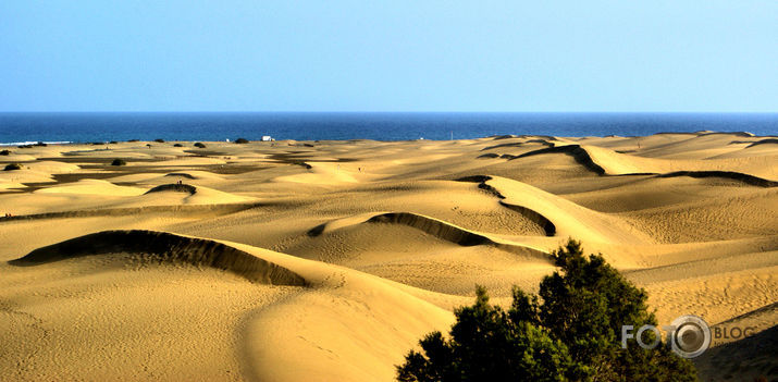 *Dunes*