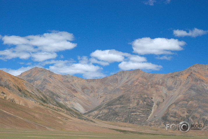 LEH