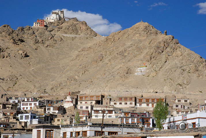 LEH