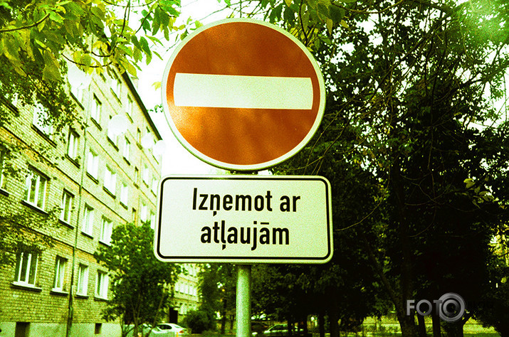Analogais Grauds.