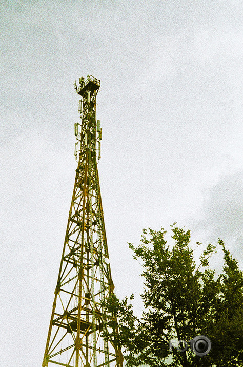 Analogais Grauds.