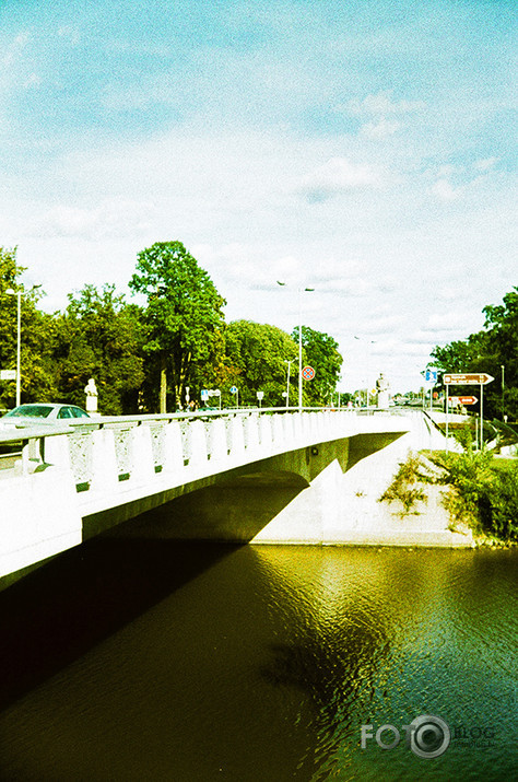 Analogais Grauds.