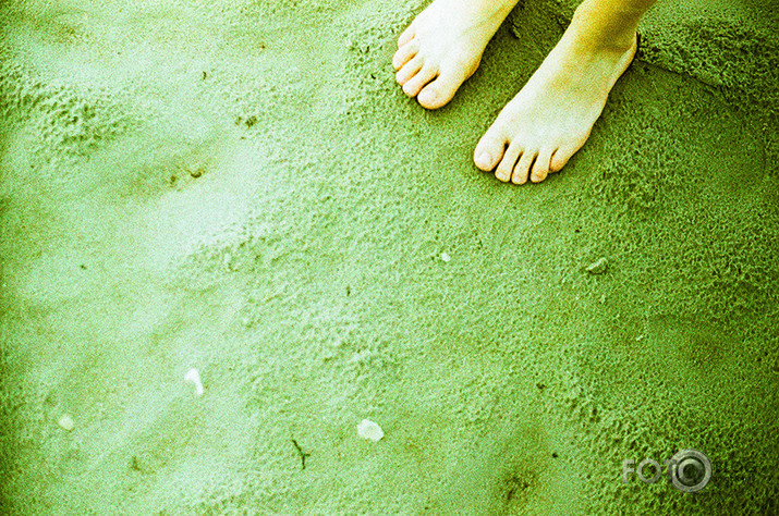Analogais Grauds.