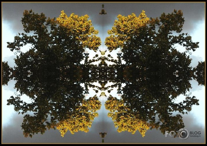 Viens vakars ar fotoaparātu