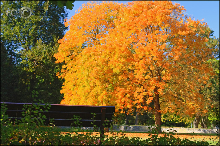 Raiņa park