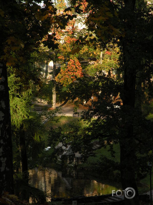 Rudens Cēsu parkā +melnie gulbji...