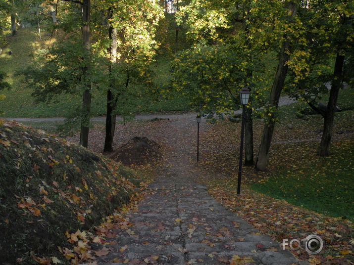 Rudens Cēsu parkā +melnie gulbji...