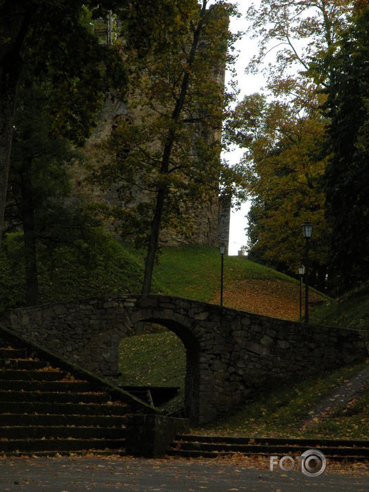 Rudens Cēsu parkā +melnie gulbji...