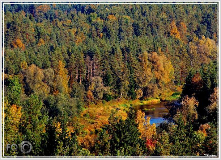 Gauja pie "Kūļiem".