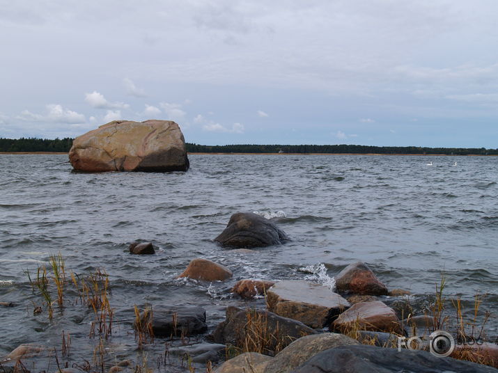 Ainiņas no Ziemeļigaunijas