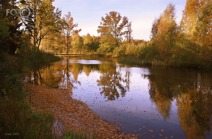 rudens spoguļojas