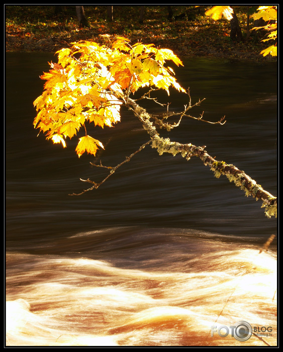 Rudens pie Lielās Juglas.