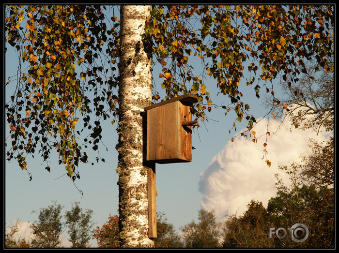 Rudens pie Lielās Juglas.