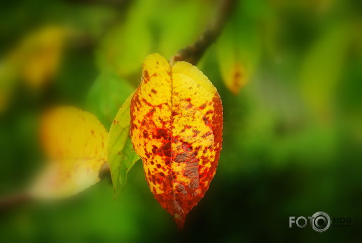 Rudens.
