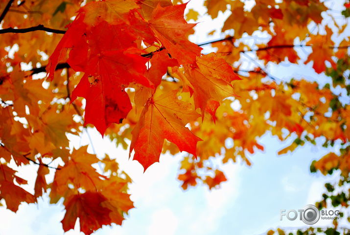 Rudens.