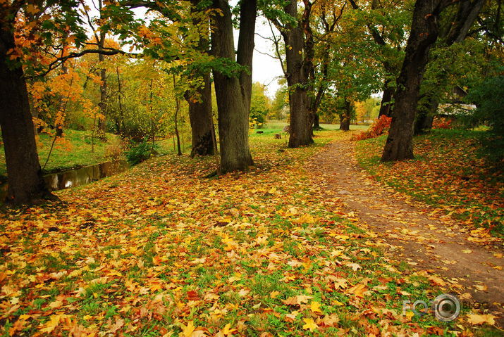 Rudens.