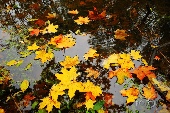 Rudens.