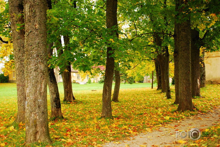 Rudens.