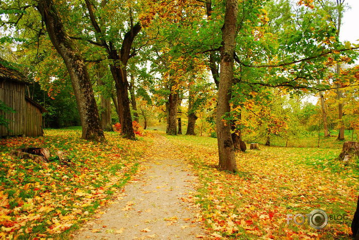 Rudens.