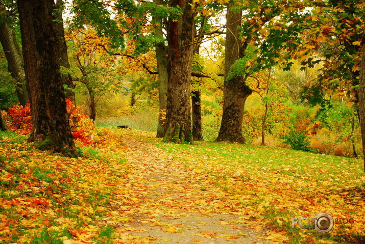 Rudens.