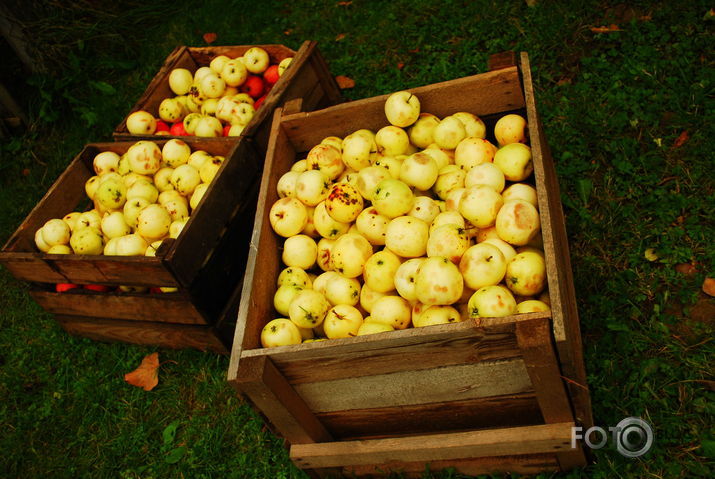 Rudens.