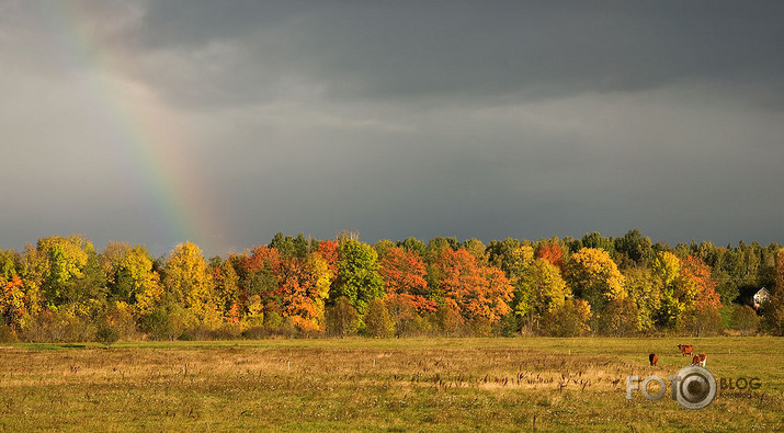 Rudens krāsas