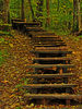 Stairway to Autumn