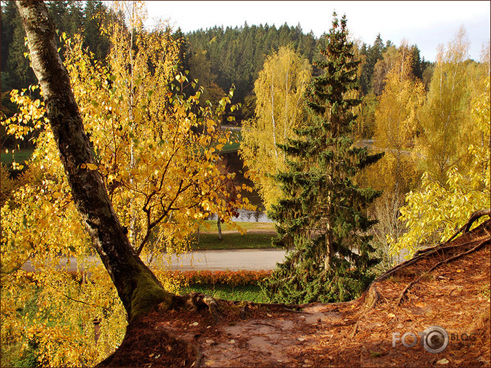 Rudenīgais Vidzemes rudens.