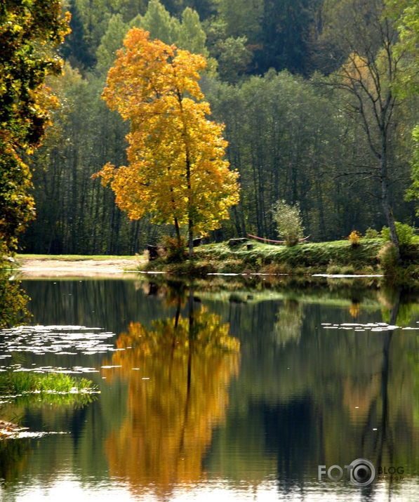 Rudens gleznas...