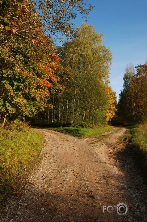 Izvēlei nav nozīmes.