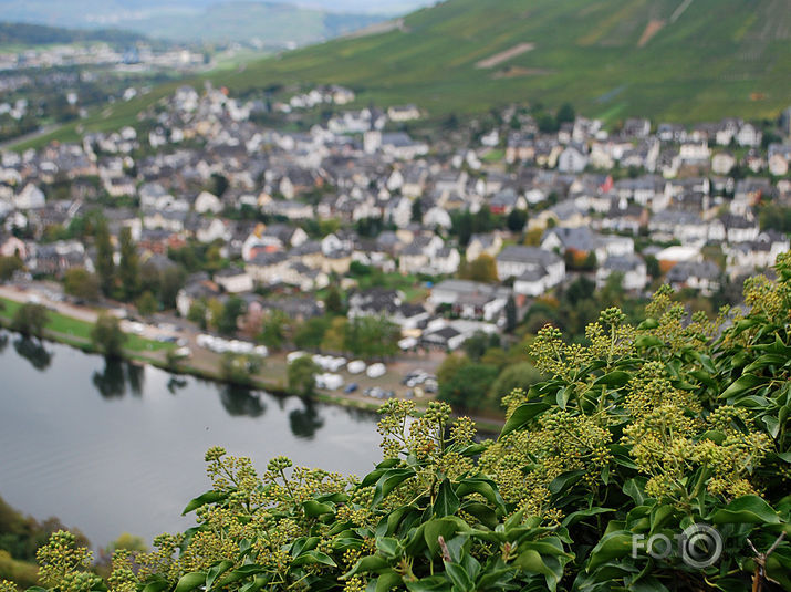 Bernkastel - Kues