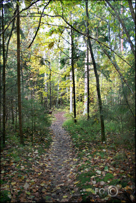 Rudens Vidzemē