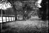 Rudens steigā...2